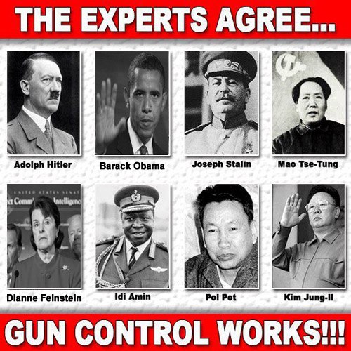 Experts Agree -- Gun Control Works