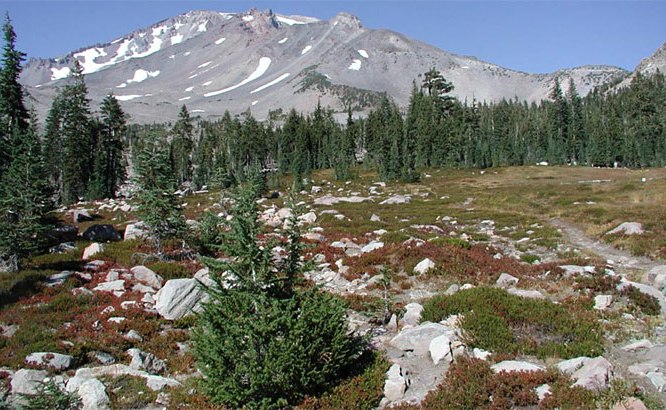 Mt. Shasta in Summer