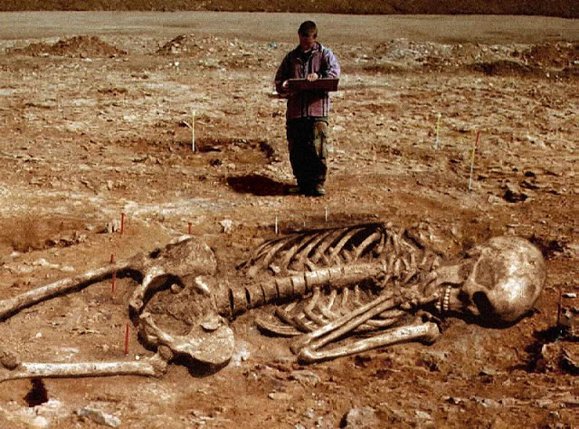 Man standing next to archaeological dig with giant human skeleton