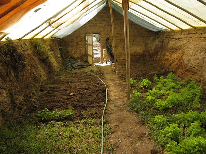 $300 Underground Greenhouse Grows Produce Year-Round