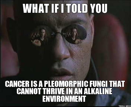 Morpheus ~ What if I Told You Cancer is a Pleomorphic Fungi that Cannot Thrive in an Alkaline Environment?