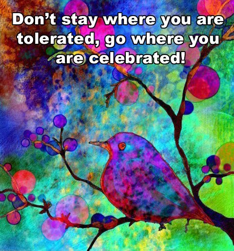 Don't stay where you are tolerated, go where you are celebrated.