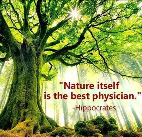 Hippocrates - Nature is the best physician