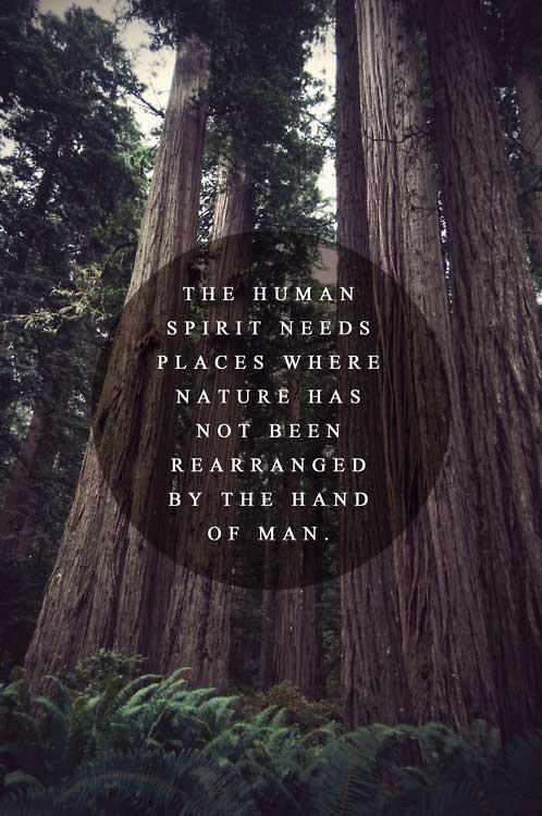 The Human Spirit Needs Places Where Nature Has Not Been Rearranged By Human Hands