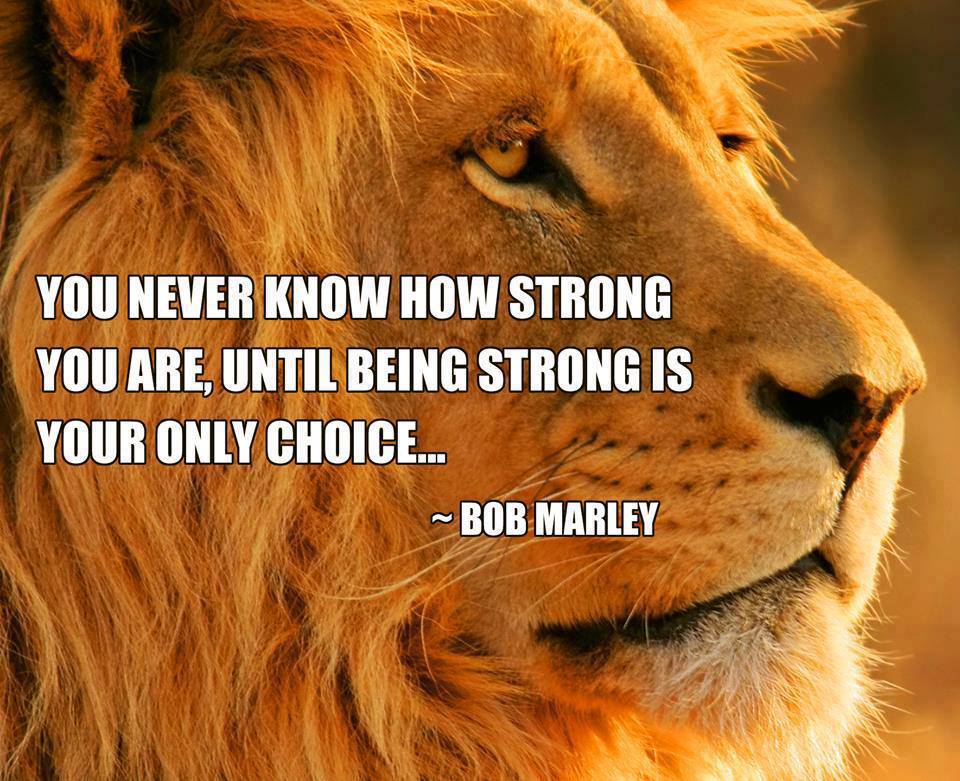 (Lion) You never know how strong you are until being strong is your only choice. ~ Bob Marley