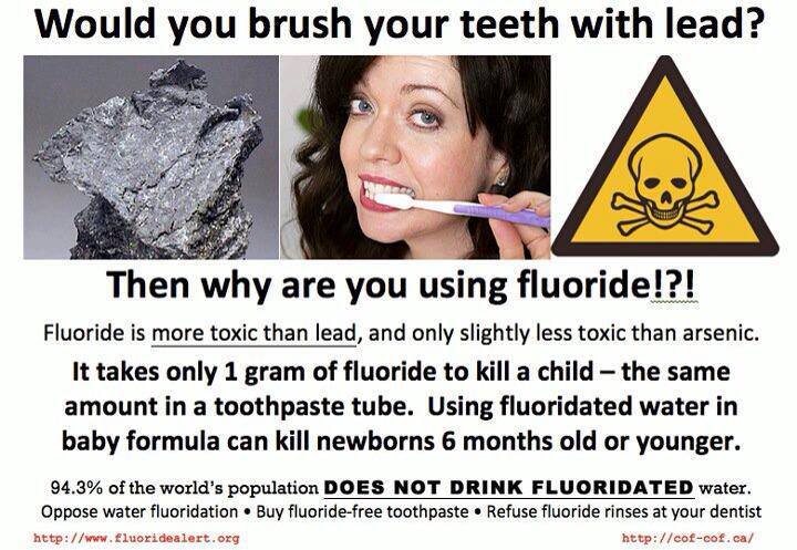 Would You Brush Your Teeth With Lead? Then Why Are You Using Fluoride?