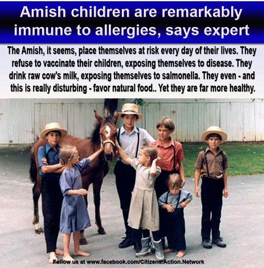 Amish Children Remarkable Healthy - No Vaccines