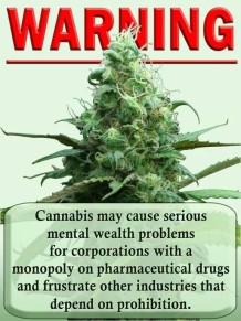 Cannabis Causes Mental Wealth Problems for Competing Industries