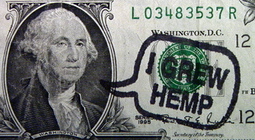 George Washington on Dollar Bill - I Grew Hemp
