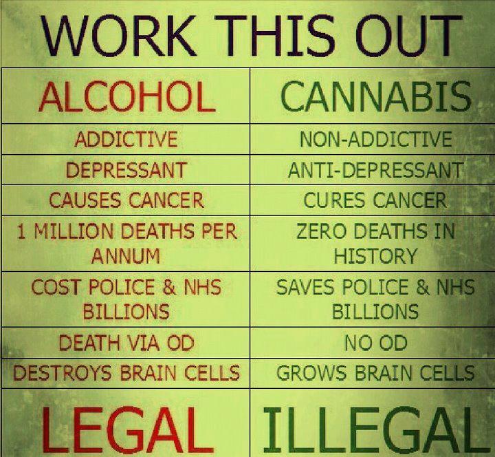 Health Effects of Alcohol vs Cannabis