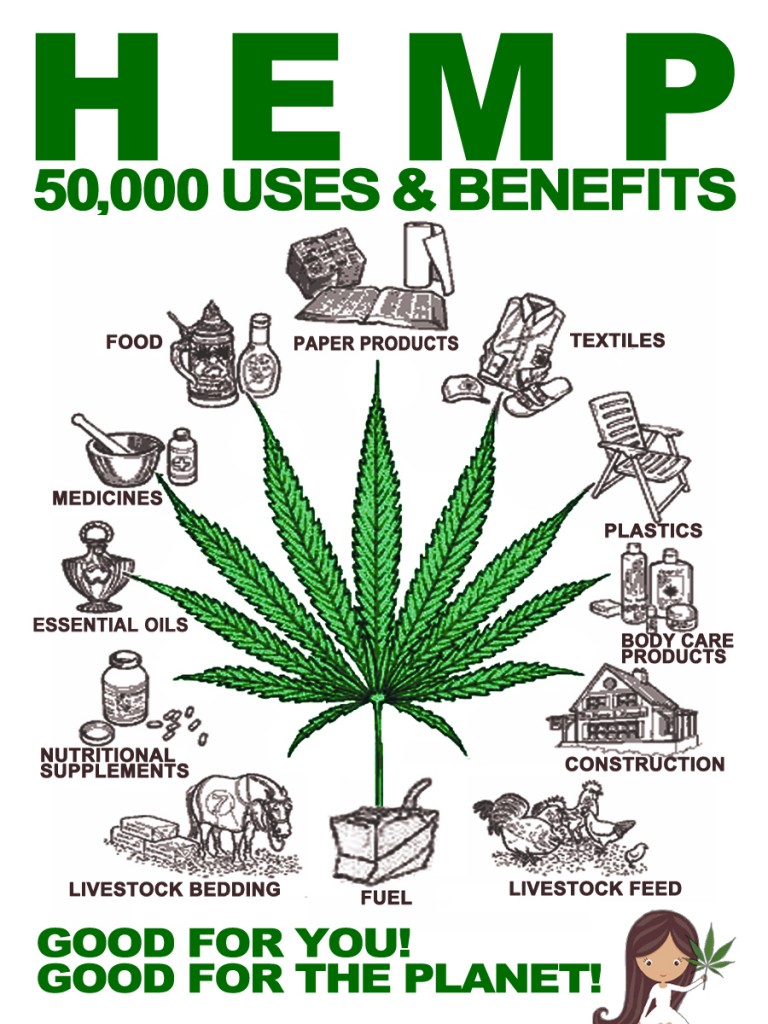 Indoor Medical Marijuana Growing Steps