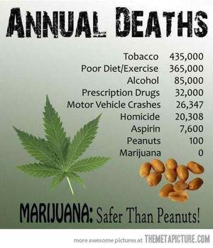 Marijuana Annual Deaths Zero - Safer Than Peanuts