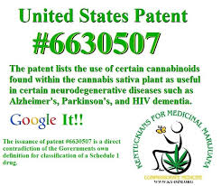 US Patent on Cannabinoids - Hypocrisy of Claims of No Medical Benefits