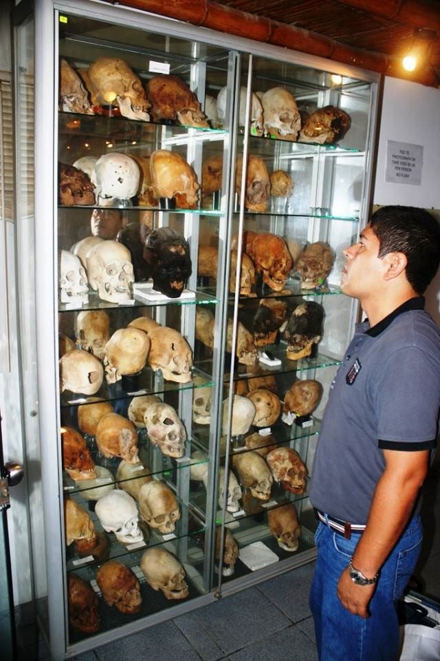 Forensic Dentist Looks Into Case of Over 30 Paracas Skulls